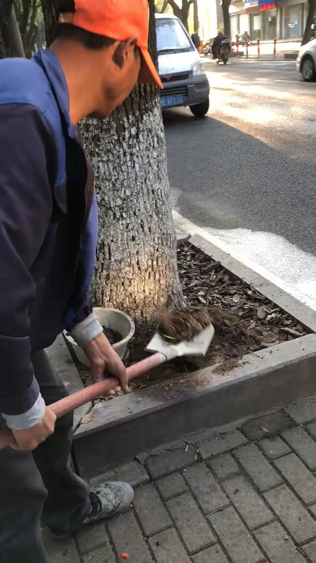 202111162065.png image.png